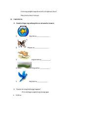 Pin On Lesson Plan In Filipino