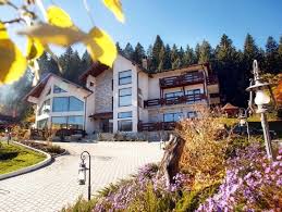 Adauga la favorite sterge de la favorite. Hotel Pensiunea Perla Bucovinei Gura Humorului