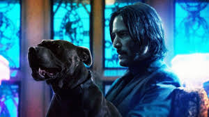 Why can't john wick defend himself when his dog is killed? John Wick 3 Dog 2560x1440 Wallpaper Teahub Io