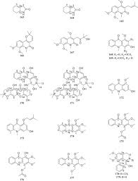 Image result for Thomandersia laurentii