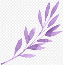 It reads and writes 170+ formats, including common, raw and additional image formats. 15 Aesthetic Png Transparent For Free Download On Mbtskoudsal Png Image With Transparent Background Toppng