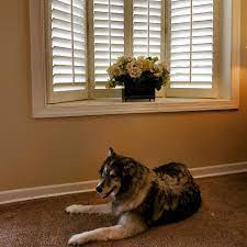 Blinds are ideal for smaller spaces and can be paired with drapes or. 4 Mistakes To Avoid When Choosing Plantation Shutters Custom Wood Plantation Shutters
