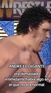 André The Giant Casket