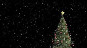 Animated Shiny Lights On Green Christmas Tree With Designer Snow Flowers Falling In The Dark Black Background Useful For Celebration Festival Season As Virtual Set Backdrop For Broadcasting Programs Stock Video C