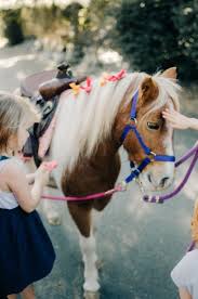 Bookings will be confirmed when deposit is received. My Little Pony Birthday Party