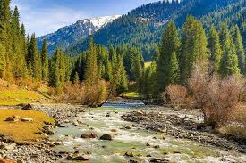We would like to show you a description here but the site won't allow us. Ala Archa National Park And Kyrgyz Cooking Master Show Bishkek Kyrgyzstan 2021