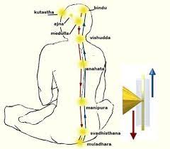 We did not find results for: Risultati Immagini Per Bindu Kundalini Kriya Yoga Kundalini Yoga Kundalini