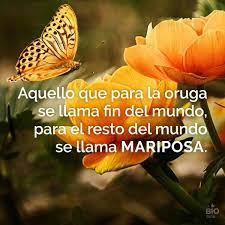 Pin En Frases