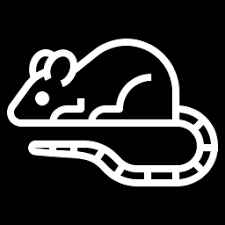 Riley pest control is happy to work with you to take care of your pest infestation problem according to your budget. No Mercy Pest Control Henderson Longview Tx Local Exterminator