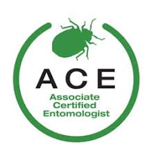 Pest control technician training texas wdi exam. Safehaven Pest Control Pest Control Dallas Texas