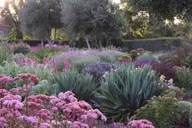 Drought Tolerant Garden In Australia At Lambley Nursery Drought Tolerant Garden Dry Garden Native Garden