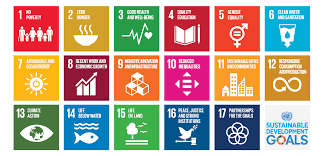 The sustainable development goals (sdgs), also known as the global goals, were adopted by all united nations member states in 2015 as a universal call to action to end poverty, protect the planet and ensure that all people enjoy peace and prosperity by 2030. Sdg Pioneers Un Global Compact