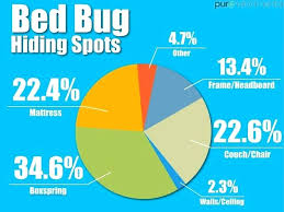 what temperature kills bed bugs wyndcutter com