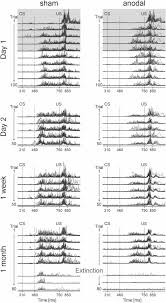 This game is developed for ios devices and it becomes famous in mind games. Long Term Effects Of Cerebellar Anodal Transcranial Direct Current Stimulation Tdcs On The Acquisition And Extinction Of Conditioned Eyeblink Responses Scientific Reports
