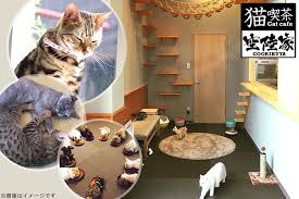 Open your options menu in your. çŒ«å–«èŒ¶ ç©ºé™¸å®¶ã®å‰²å¼•ã‚¯ãƒ¼ãƒãƒ³ãªã‚‰ãã¾ãƒãƒ³bygmo