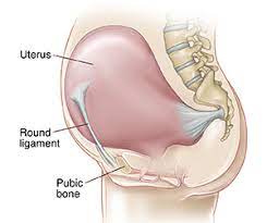 Understanding Round Ligament Pain In Pregnancy