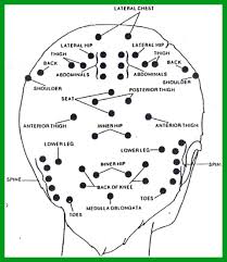 Head Reflexology Reflexology Massage Massage Therapy