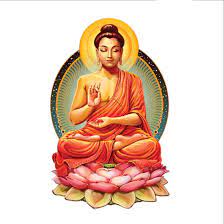 We did not find results for: Buy Artway India Animated Cartoon Motivational Lord Buddha Wall Sticker For Living Bed Room 65 X 50 Cm Online At Low Prices In India Amazon In