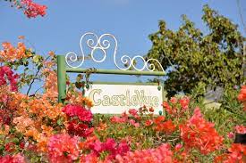Gallery of flowers montego bay jamaica. Castle Vue B B Montego Bay Updated 2021 Prices