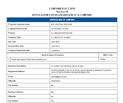 Signatures of the sole director and 1 witness. Https Www Kccci Org My Attachments Article 2251 20170805 202016 20new 20companies 20act Pdf