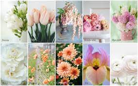 We did not find results for: The Four Seasons Of Bridal Bouquets