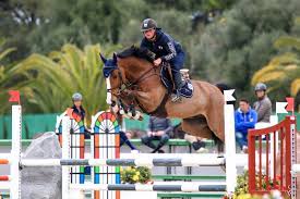 15th olympic games participant, 13th participant. Official Website Of Gregory Wathelet N 1 Showjumping S Belgian Rider Ace Of Heart Gp 7 Years Old