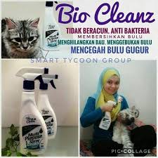 Obat luar dioleskan secara langsung pada kulit kucing anda untuk membasmi kutu dengan. Yana Ishak Multi Purpose Spray Hilangkan Kutu Kucing Facebook