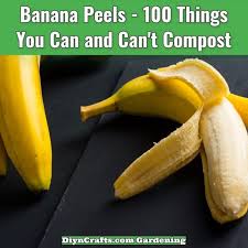 In some countries, bananas used for cooking may be called plantains, distinguishing them from dessert bananas. Ultimate Composting List 100 Things You Can And Can T Compost Eating Bananas Banana Benefits Food Hacks