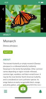 Namely, they're helpful for identifying plants, tips and tricks on how to grow stuff better, and general it's extremely useful for identifying all kinds of plant life. This Free Shazam For Nature App Can Identify Plants And Animals In Photos Petapixel
