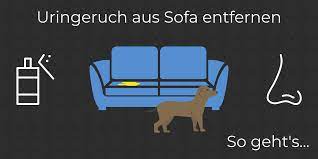 Dieses feebreez oder so soll man ja nicht direkt auf textilien und so sprüchen. Uringeruch Aus Sofa Entfernen So Wird Deine Couch Geruchsfrei