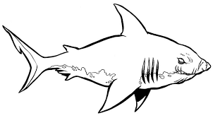 We have collected 39+ goblin shark coloring page images of various designs for you to color. Pin On Animal Coloring Pages