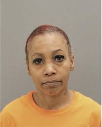 ᐅ Illinois Criminal Records 2009-2026