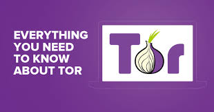 Tor هو مجموعة من الأدوات المستخدمة من قبل نخبة كبيرة من المؤسسات والأشخاص. So Nutzt Du Den Tor Browser In Deutschland Leitfaden 2021