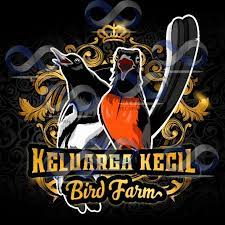 Pada umumnya untuk desain dan bentuk ukuran ternak kandang murai batu adalah persegi panjang yang lebar, yang dapat memberikan keleluasaan burung untuk beradaptasi dan tidak disarankan kandang ternak murai terlalu kecil/sempit, karena nantinya akan berdampak pada kerusakan bulu dan burung murai batu anda akan bisa stress nantinya. Desain Logo Burung Murai Batu Kacer Lovebird Kenari Cucak Ijo Free Label Sticker Shopee Indonesia
