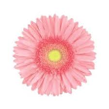 Pin On Cost Of Flowers