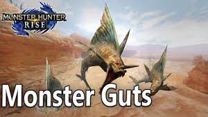 Monster Hunter Rise - Guide to monster guts - deliver the liver - YouTube