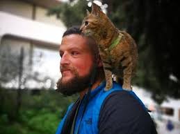 Visit timmy in the resident services center. Dean Nicholson Is Cycling Around The World With His Kitten On His Back