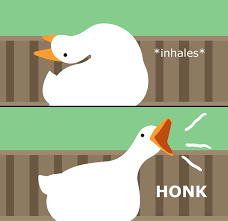 Just download, run setup and install. Desktop Goose By Samperson