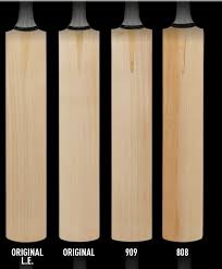 Details About Cricket Bat English Willow Neon Dxm 303 Tt Short Handle By Gunn Moore