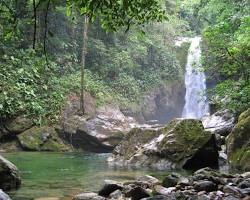 Immagine di Pico Bonito National Park Honduras