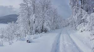 White christmas is one of those movies you can just enjoy without having to think about why the characters act the way they do. Snow Coming But Too Late For A White Christmas Croatia Week