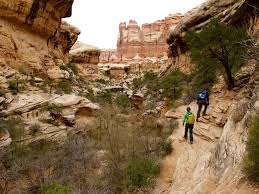 I've got my eyes on the seven teacups in kern canyon! Leprechaun Hike North Wash Utah Canyoneering Usa
