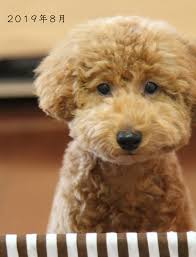 Aula Powered by ライブドアブログ