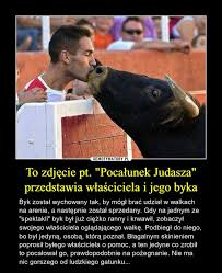 Tam właśnie znajduje się malowidło przedstawiające pocałunek judasza namalowane ok. To Zdjecie Pt Pocalunek Judasza Przedstawia Wlasciciela I Jego Byka Obrazkowo Pl Najlepsze Memy W Sieci