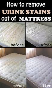 How To Remove Urine Stains Out Of Mattress 101cleaningtips Net Mattress Cleaning Urine Stains Mattress