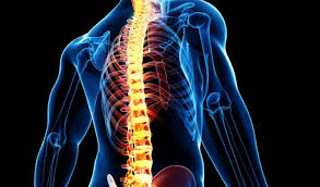 Global Spinal Implants And Spinal Devices Market Research Report Future Demand And Growth Scenario Spine Surgery Spinal Surgery Spinal Stenosis