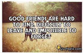 True Friends Are Hard To Find Quotes Good Friends Are Hard To Find Fairwell Quotes Good Friends Are Hard To Find Friendship Quotes