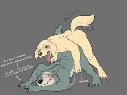 Rule34 - If it exists, there is porn of it  kaptcha, jack (beastars),  legoshi (beastars)  2521573