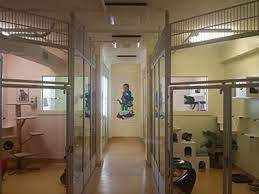 Maybe you would like to learn more about one of these? Animalkind Reviews And Ratings Hudson Ny Donate Volunteer Review Greatnonprofits