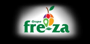 How to find foreign buyers for your export products. Iqf Frozen Fruit Manufacturers Processors Suppliers Mexico